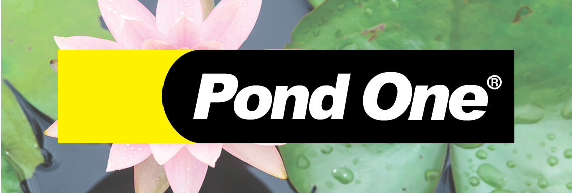 Pond One 1137 X 384px.jpg