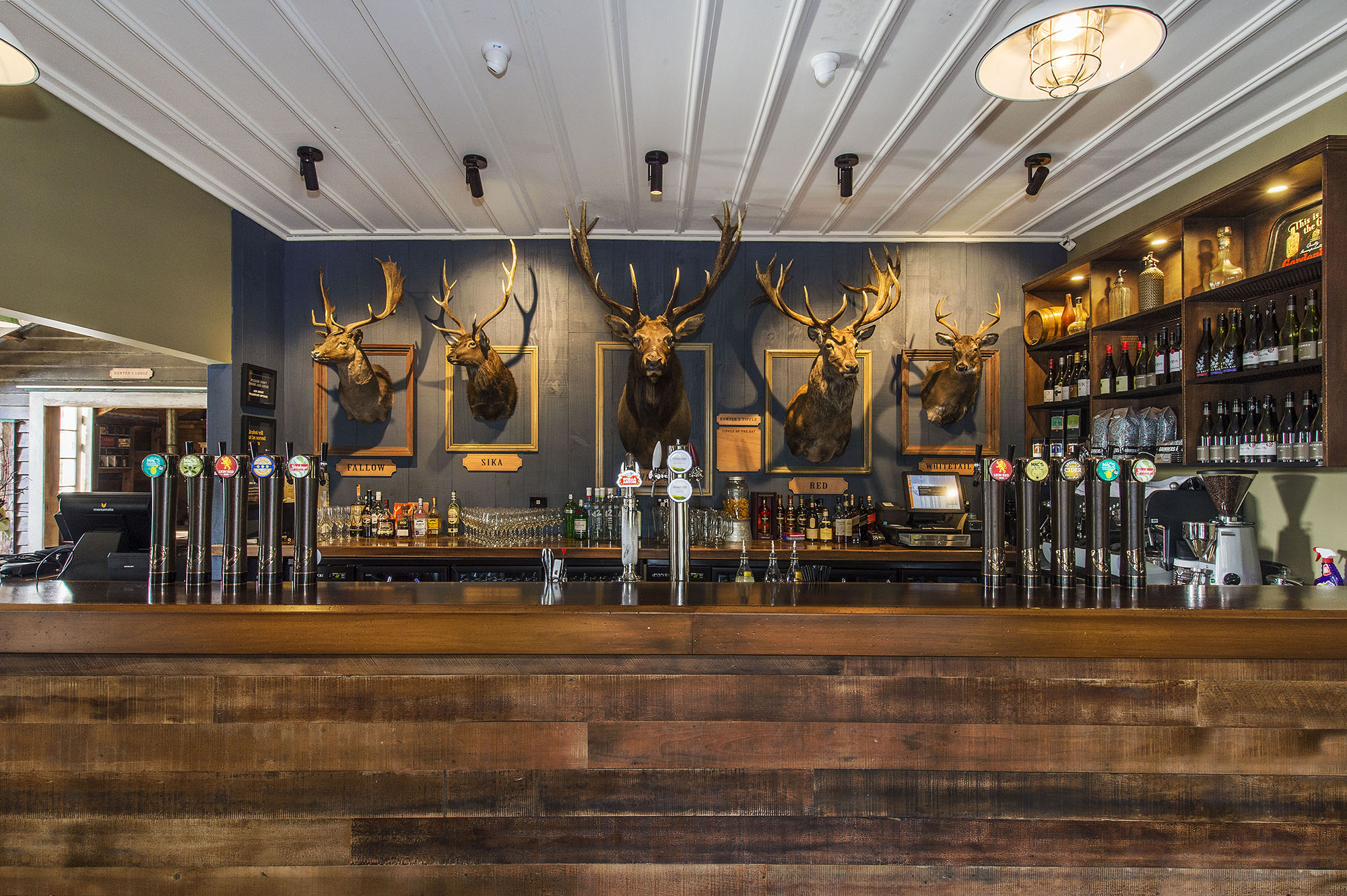 5 Stags Whitford 10.jpg