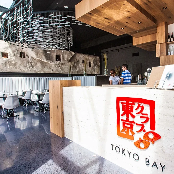 <a class='image_slide_a' href='/tokyo-bay'>Tokyo Bay<strong>VIEW PROJECT</STRONG></a>