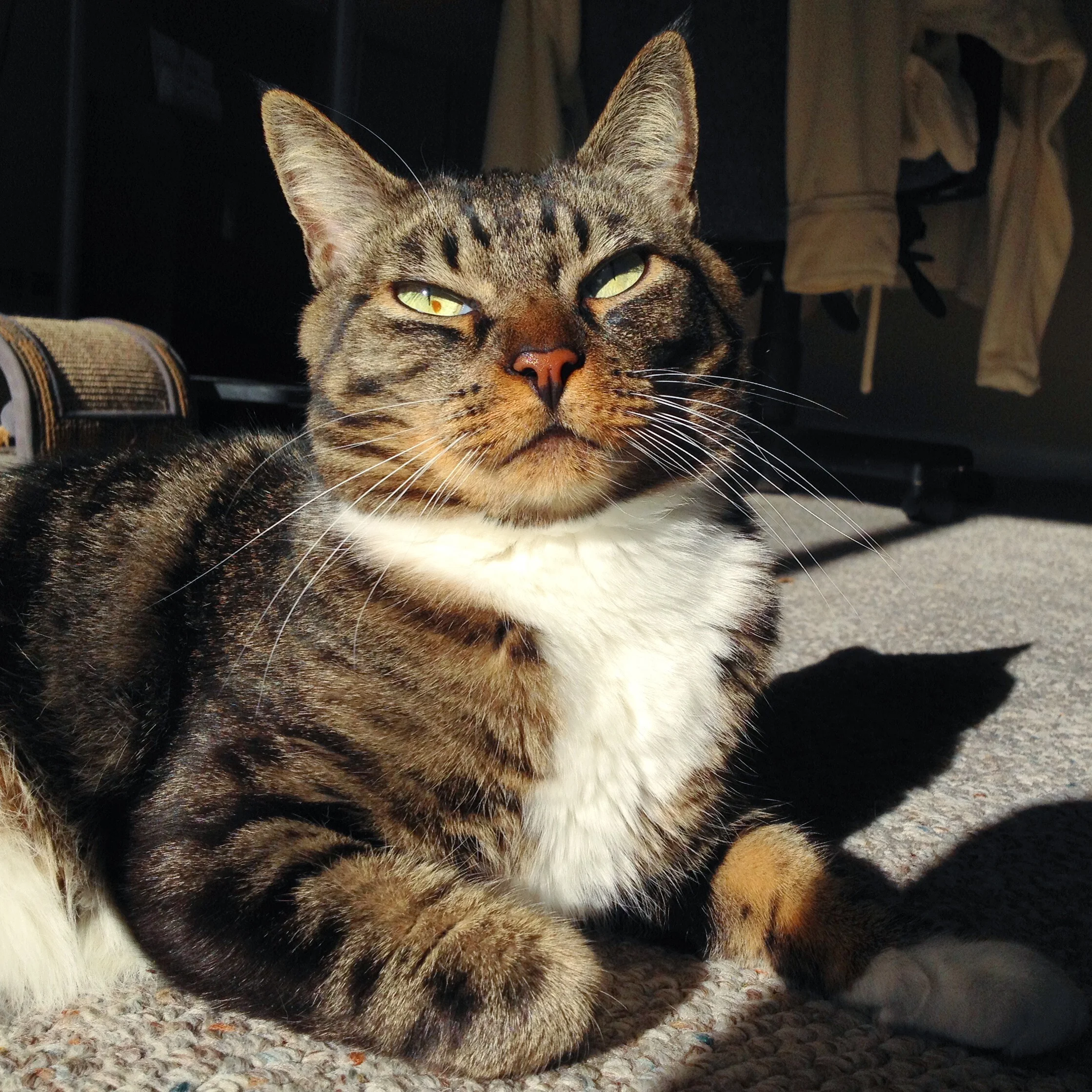 Milo