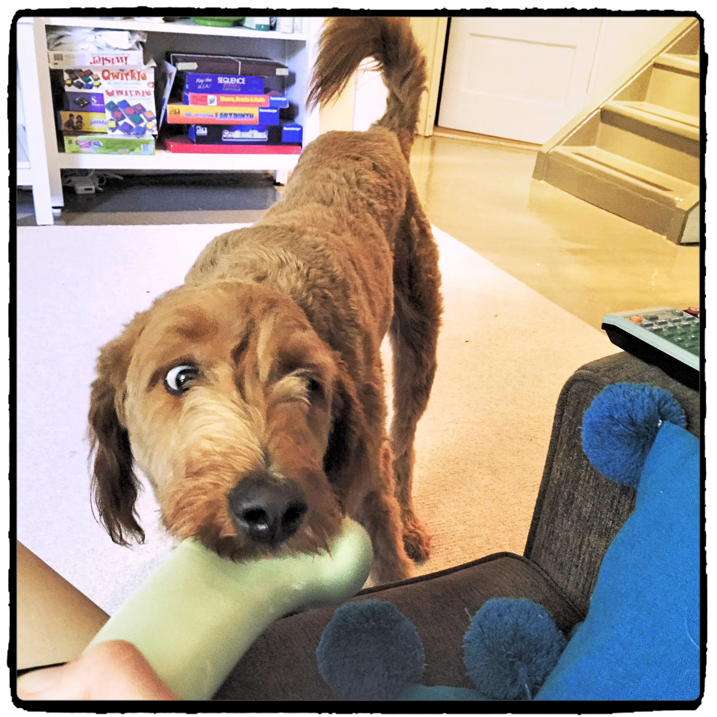 Play time with Ruby!