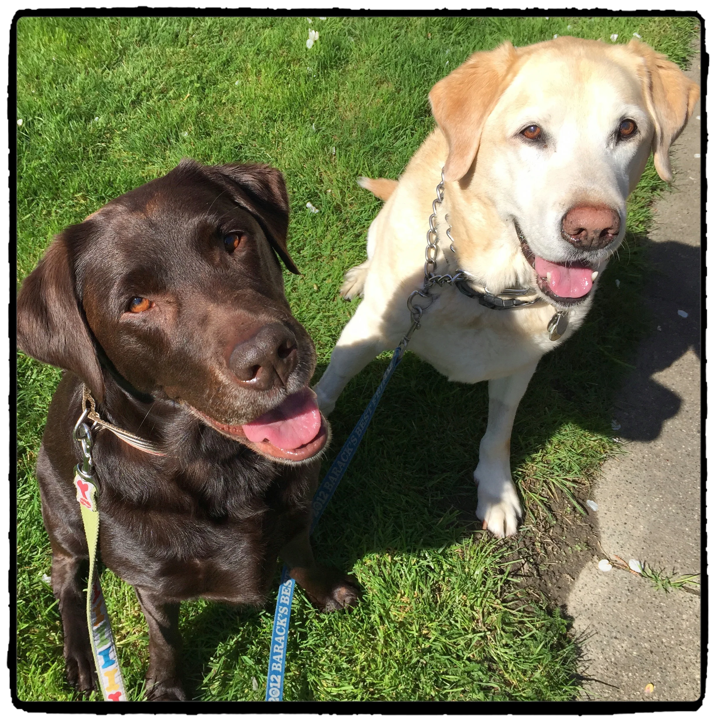 Roxie and Lyle