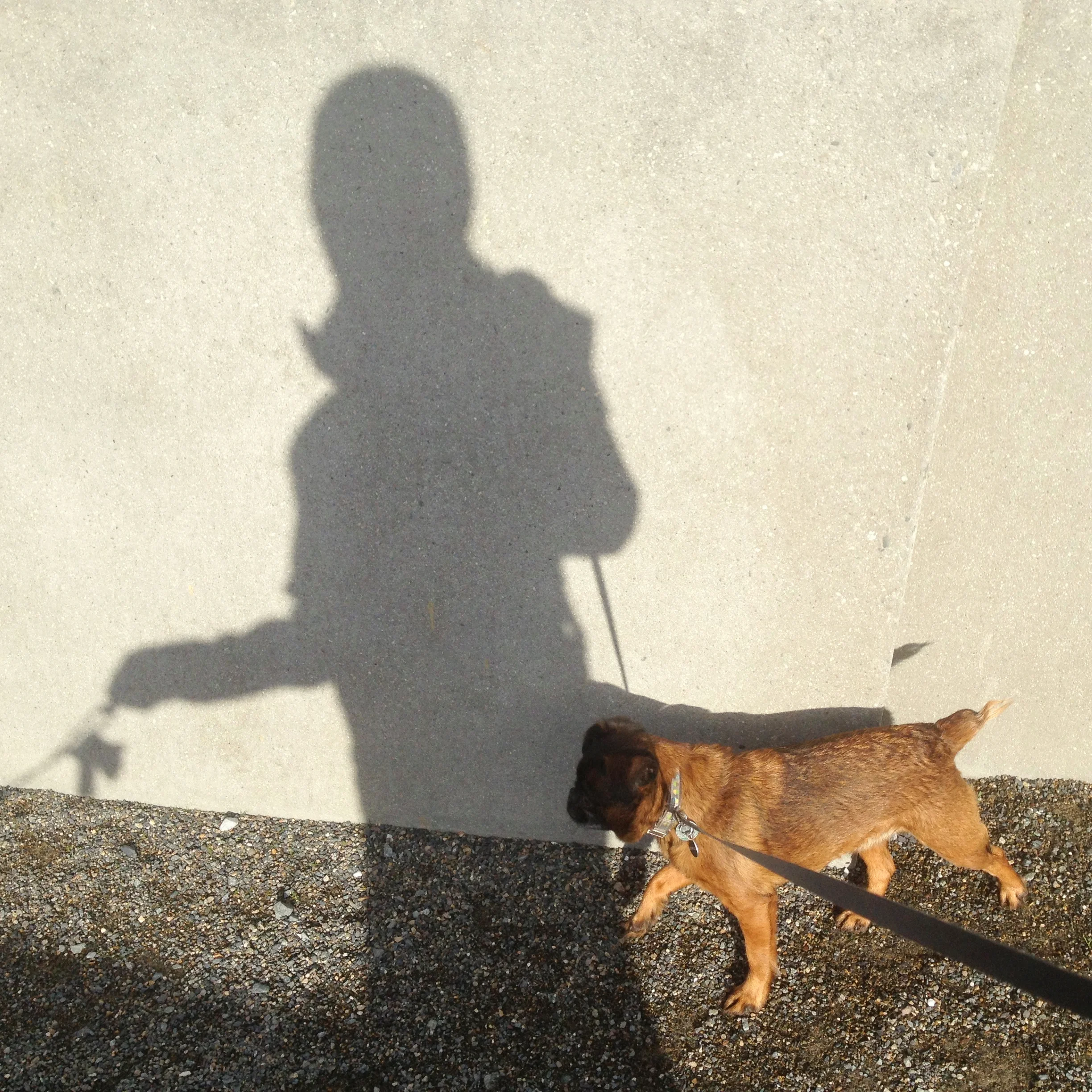 Shadow walk with Harley
