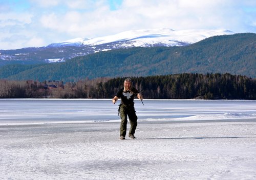 Viking martial arts auburn ny seating chart