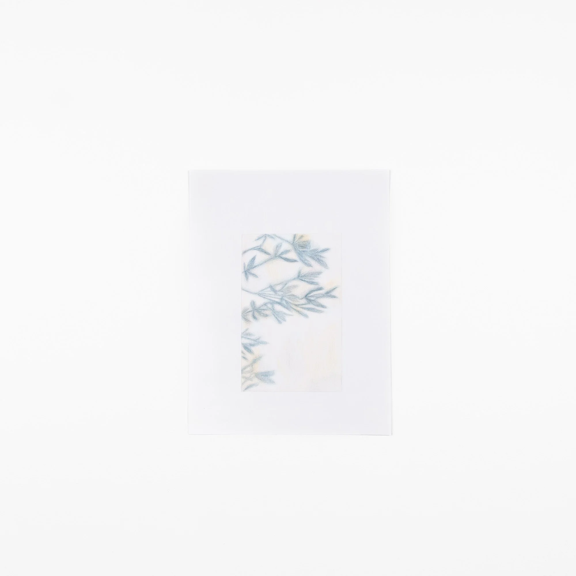 leaf_and_stone.jpg