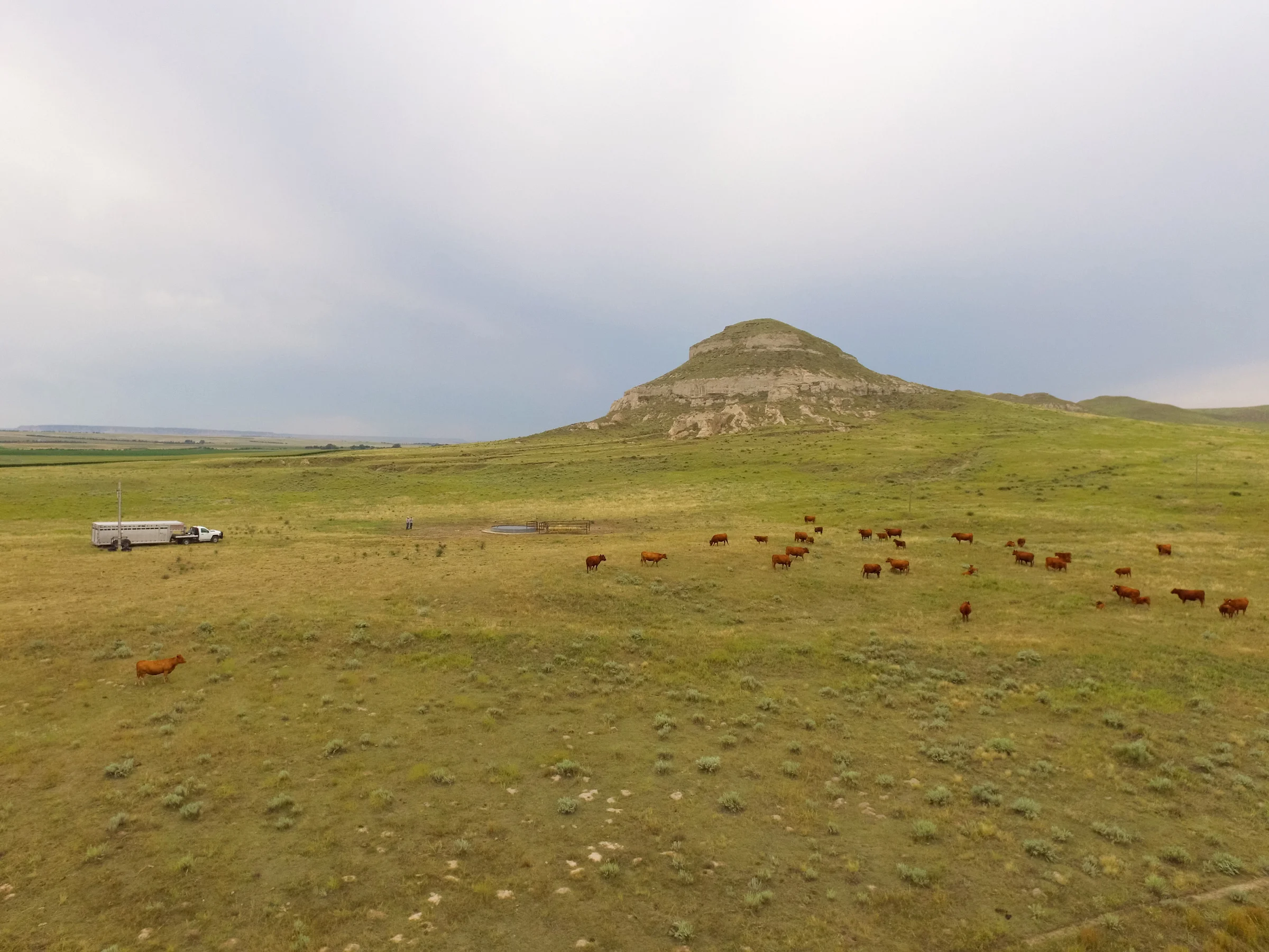 DJI_0016-web.jpg