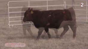 SCHULER DISCIPLINE 8506F
