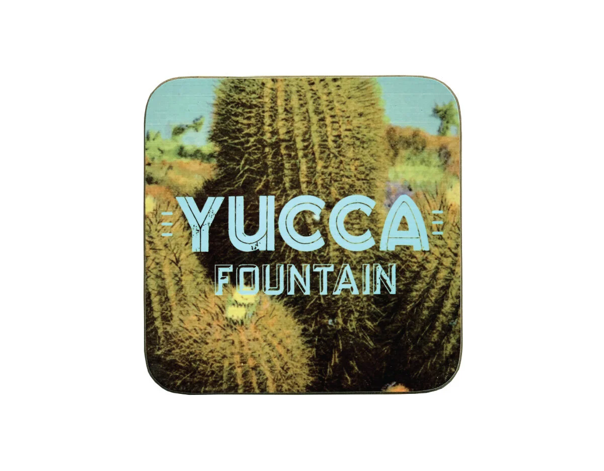 barrel-cactus-coaster-gallery.jpg