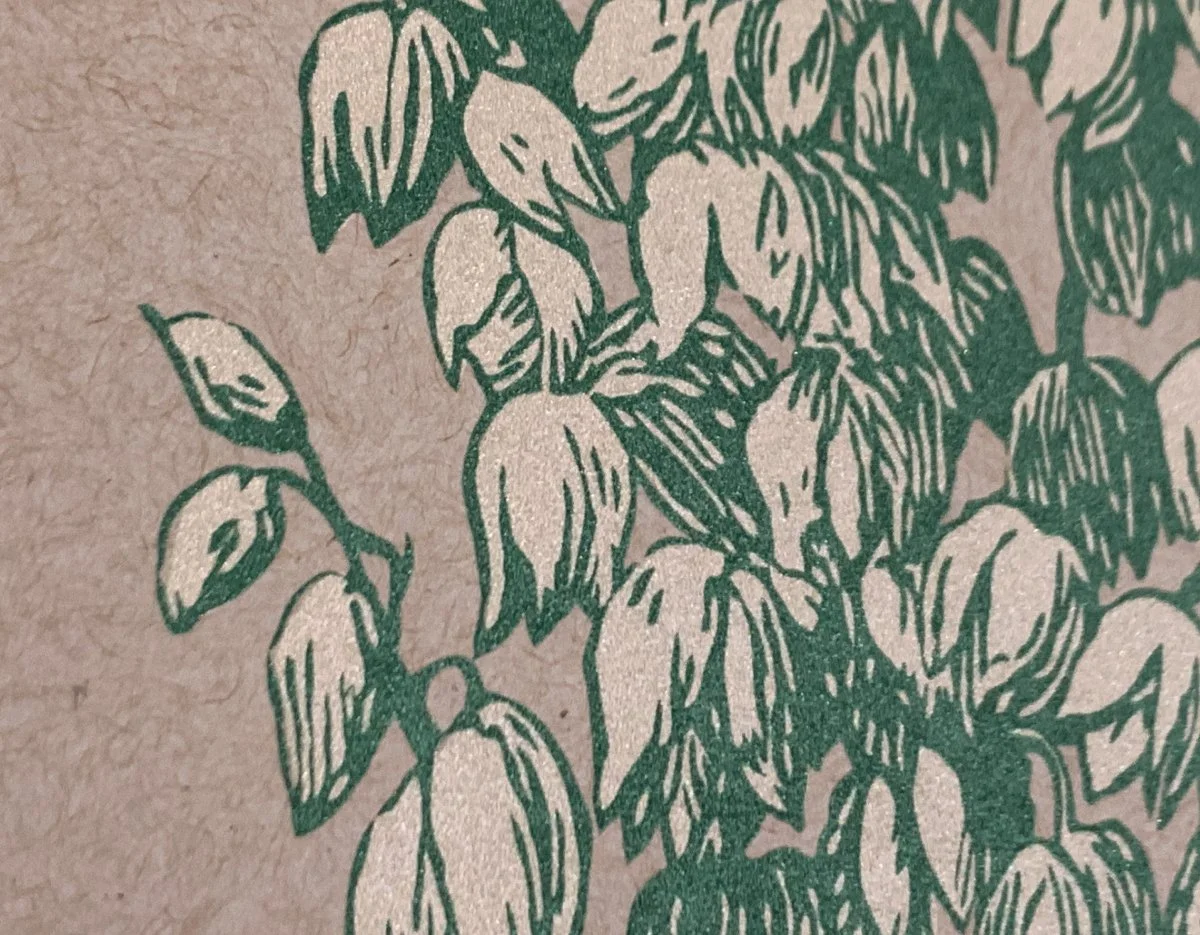 Yucca Botanical Screenprint — Steez Design