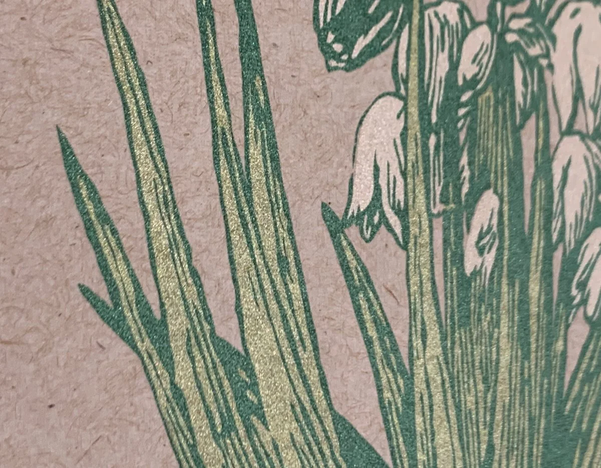 Yucca Botanical Screenprint — Steez Design