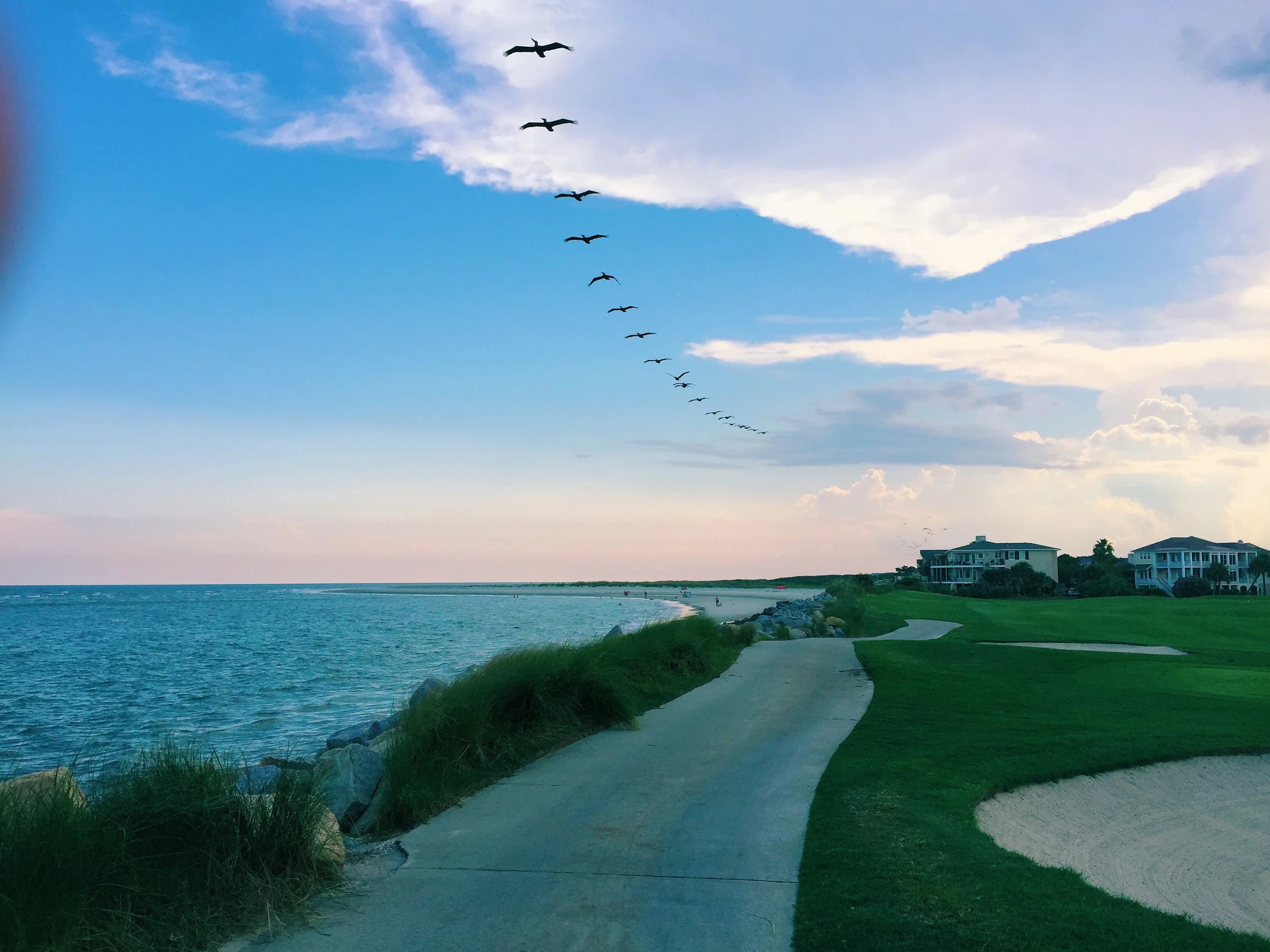 Pelicans flying over Fripp Island 