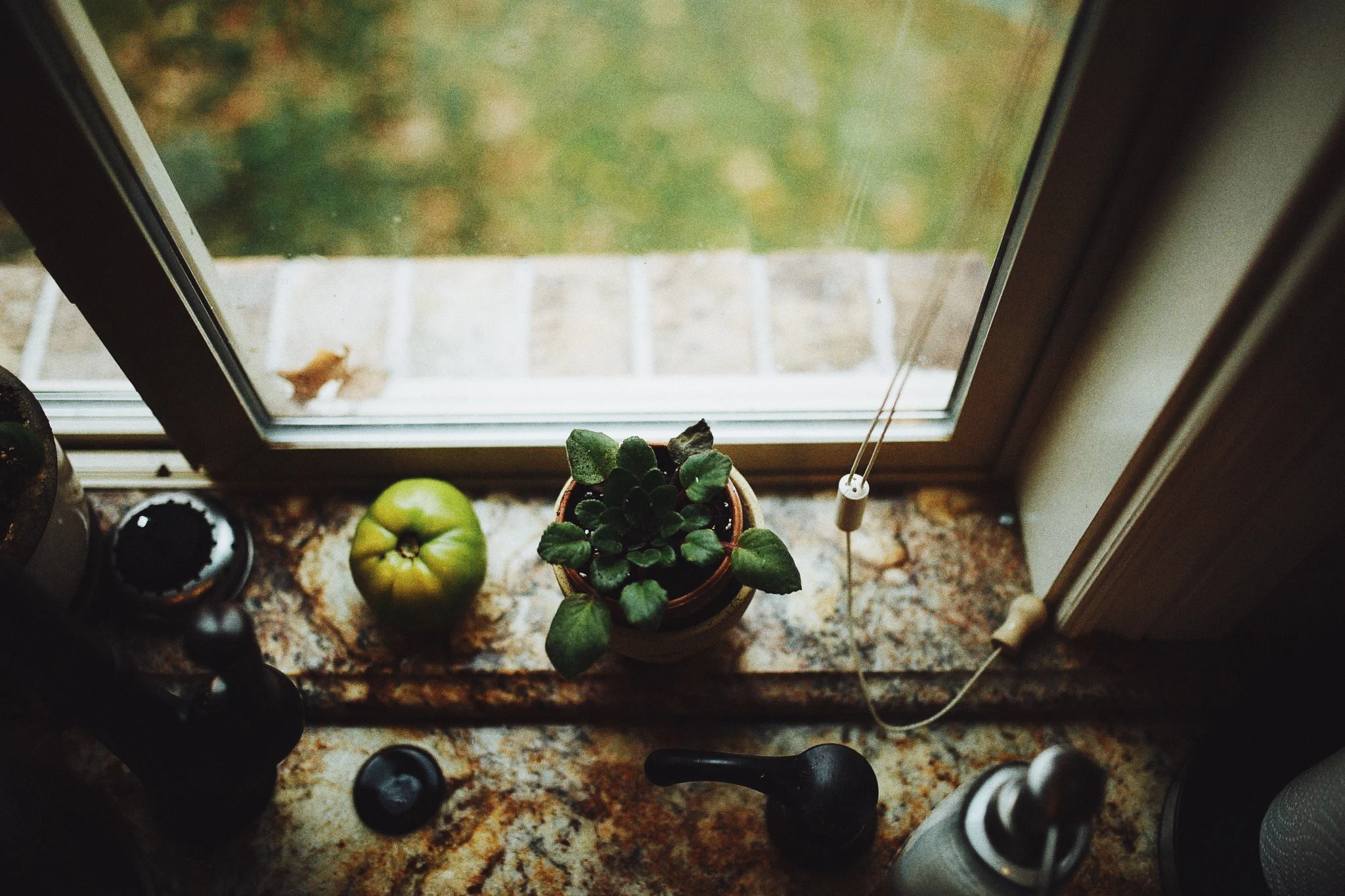 2015-11-26 19.20.29.jpg