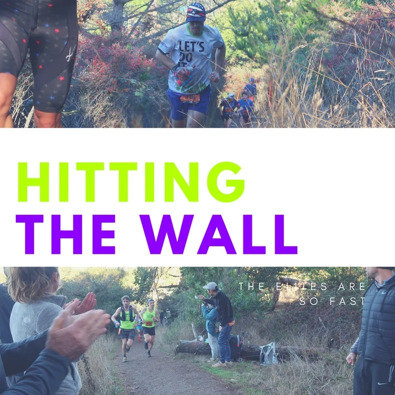 the north face 50 mile endurance challenge-2017-mix.jpg