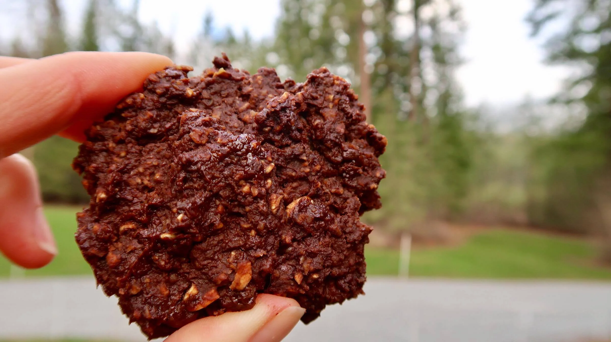 nutritious-chocolate-chip-cookie-vegan-oil free.jpg