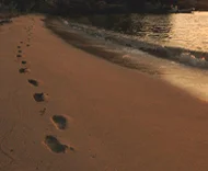 8 Steps to Anxiety and Stage Fright Free Cello Playing