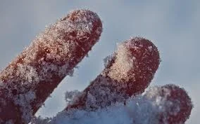 A Cure for Cold Hands from SPCO Principal Cellist Joshua Koestenbaum