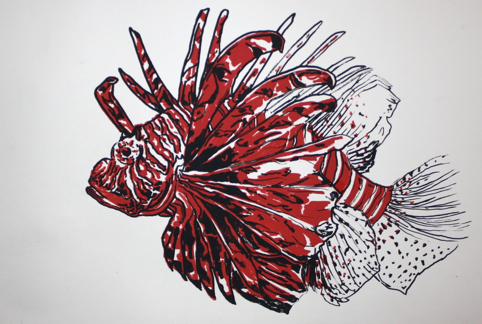 Lionfish
