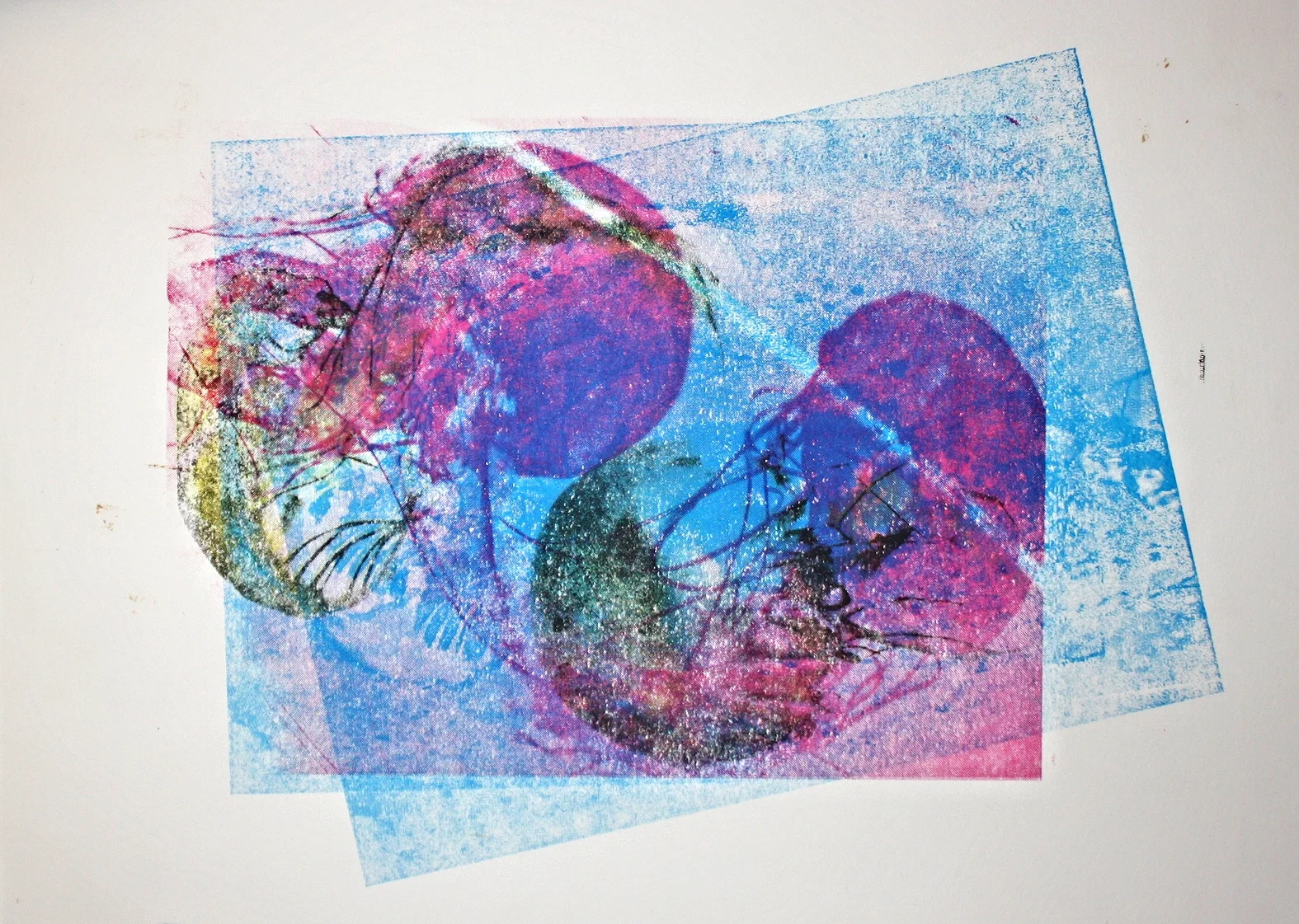  Jellyfish, screenrint 
