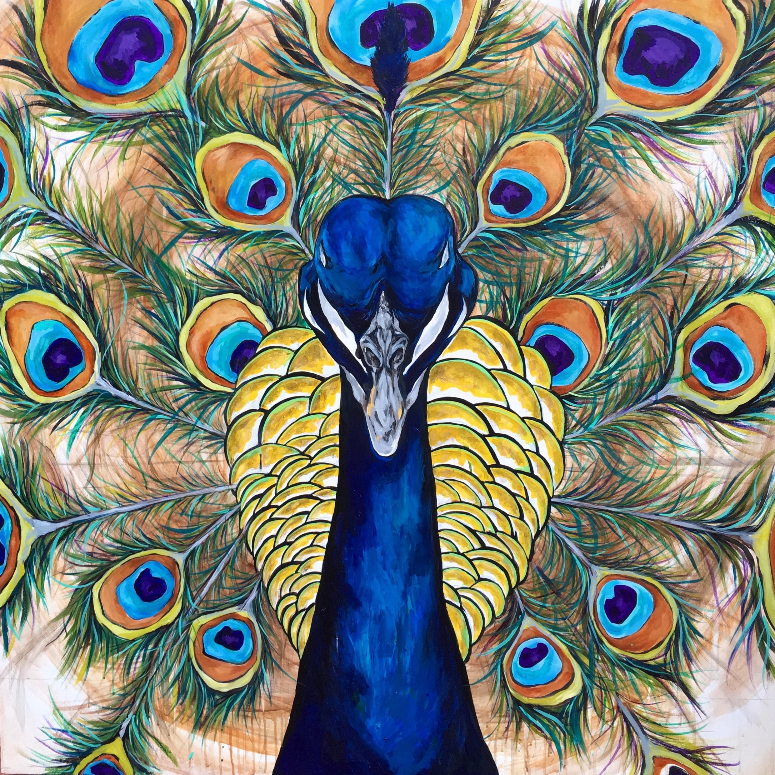 fancy peacock goes to sanfran