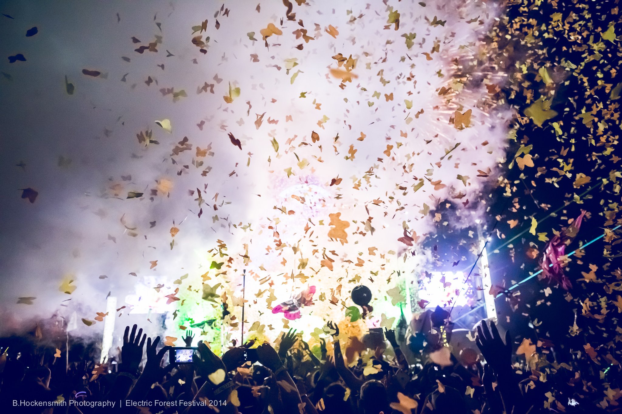 Electric Forest 2014. Used with permission from B. Hockensmith Photography