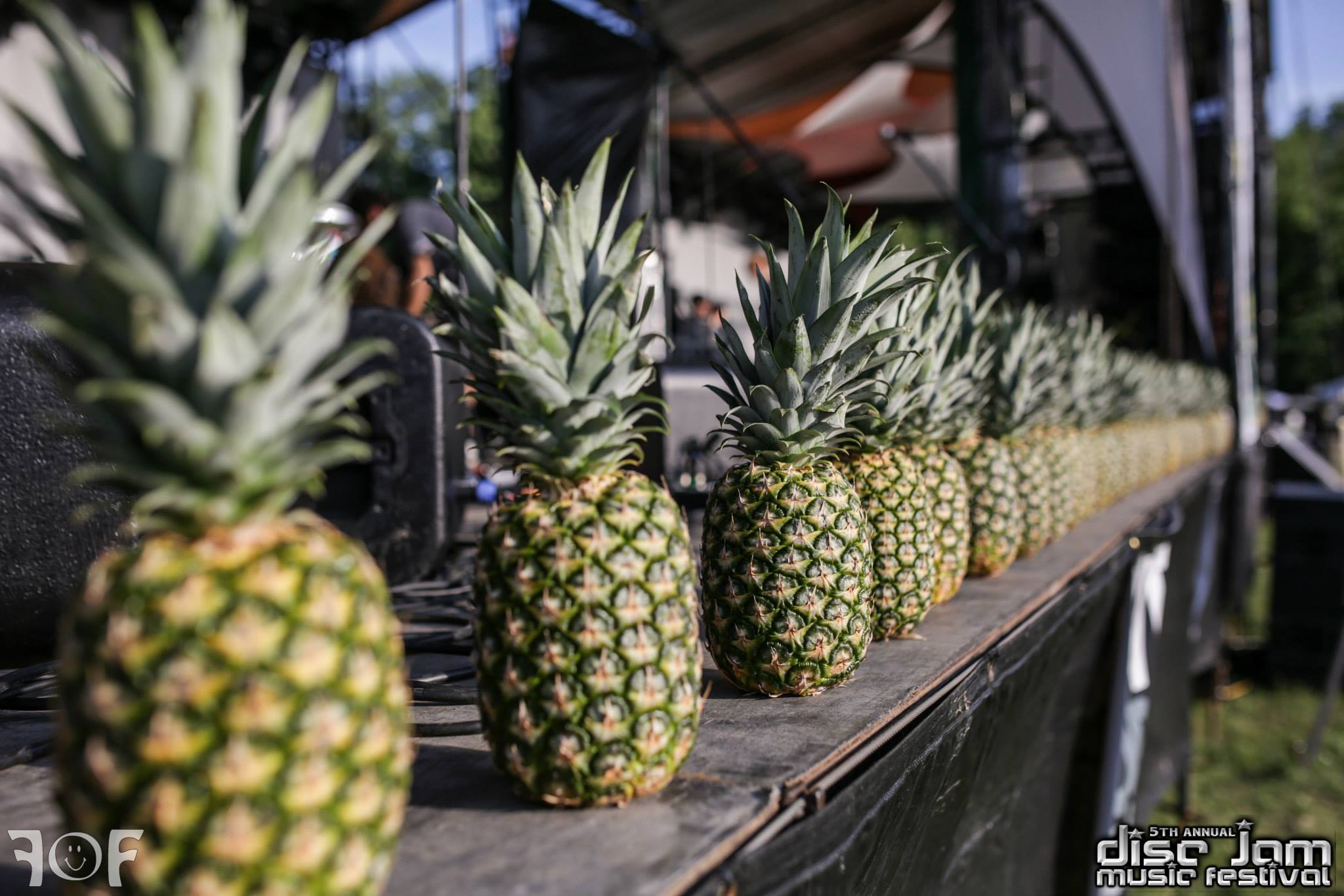 Pineapples fo' daysss Source: Faces of Festivals and Disc Jam