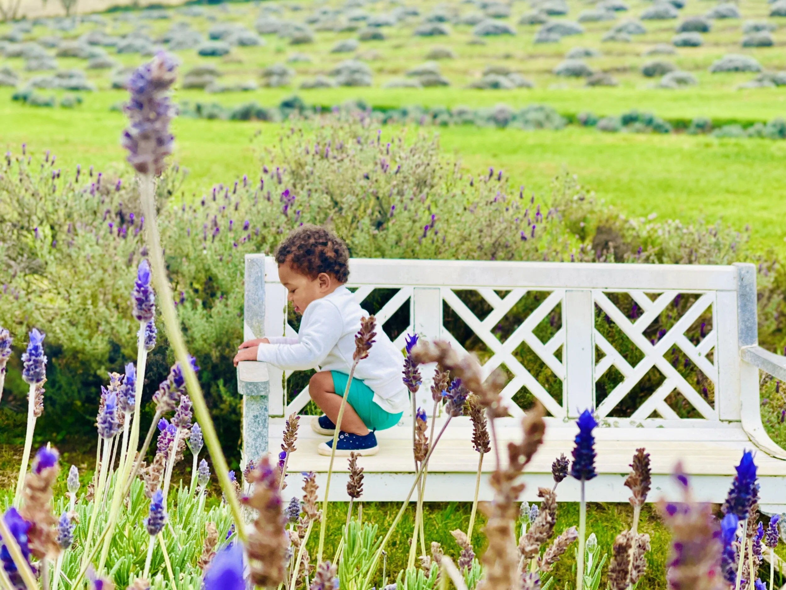 People | Baby Model Ahri A.