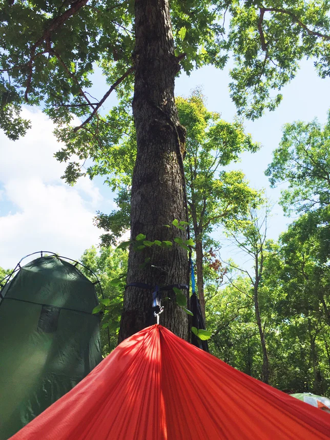 hammock-woods-campin.jpg