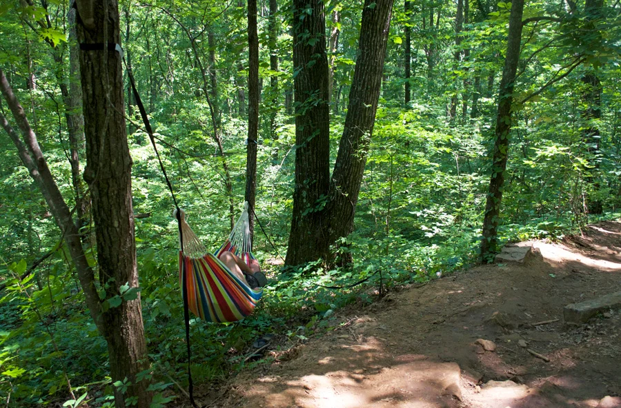 hammock-by-trail.jpg