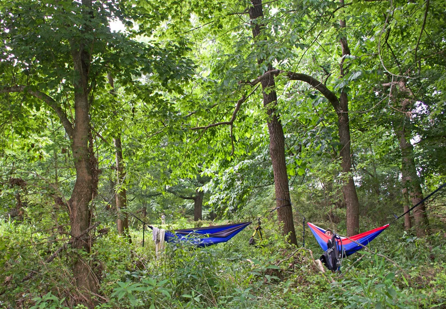 hammocks-by-river.jpg