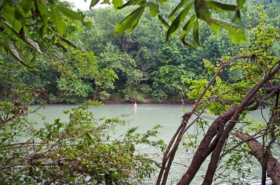 vegetation-at-river.jpg