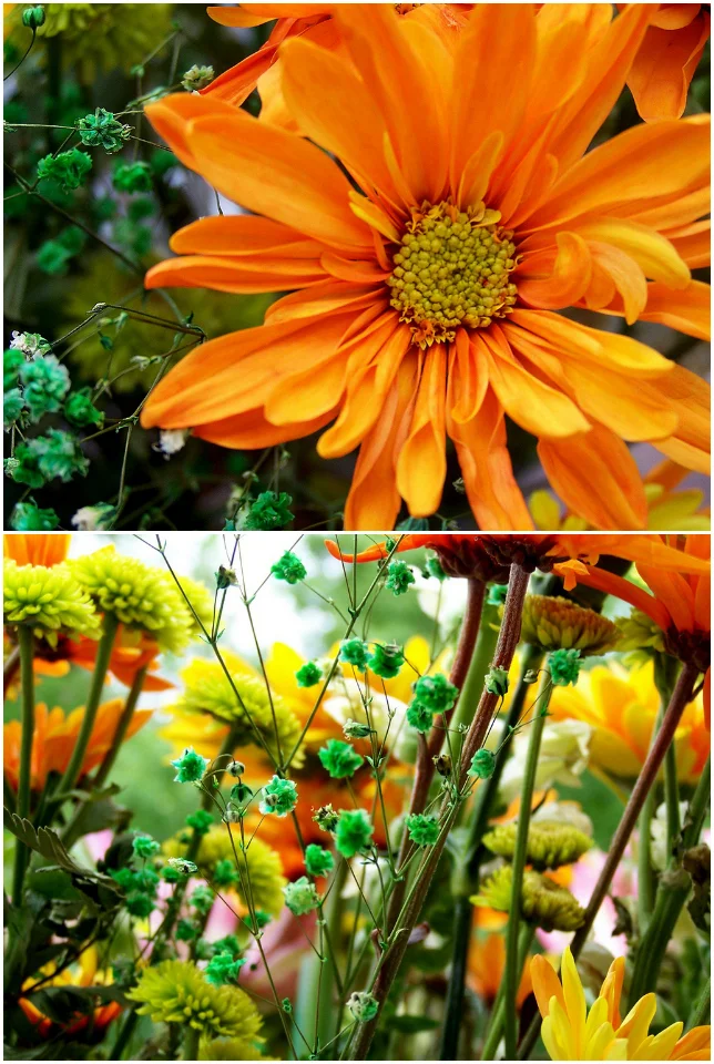 bouquet-composite.jpg