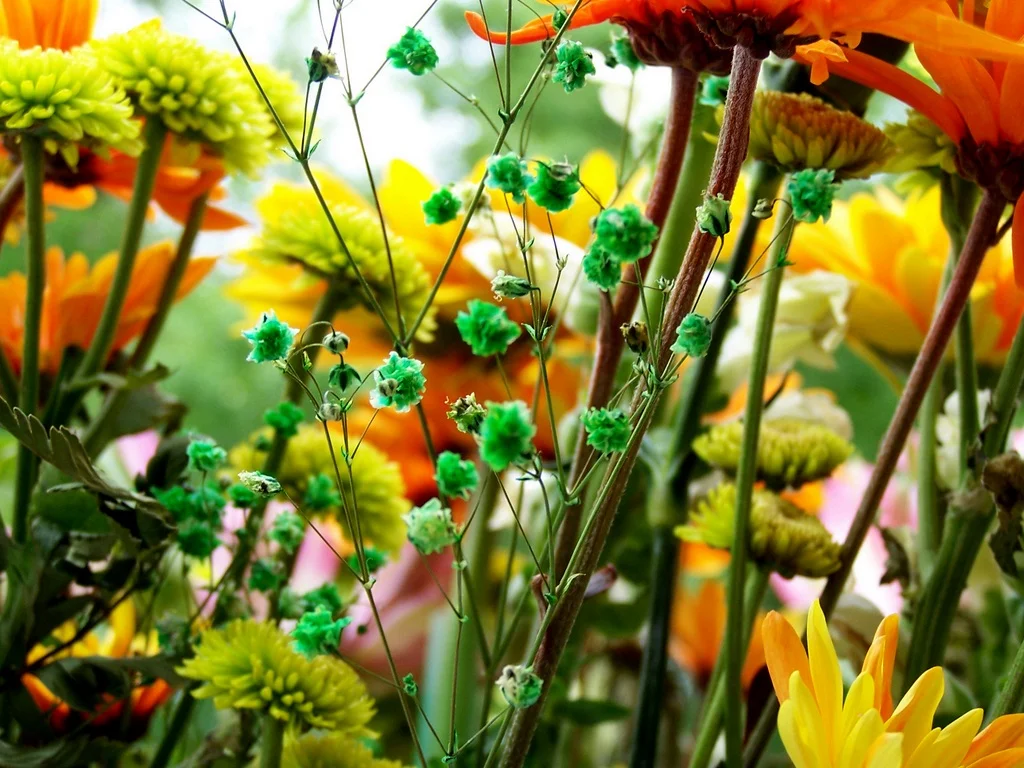 Bouquet-perspective.jpg