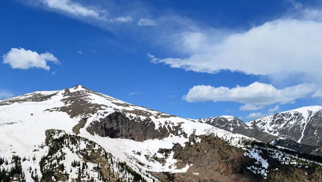 Snowy-Mountains-Bird-Flying-feature.jpg