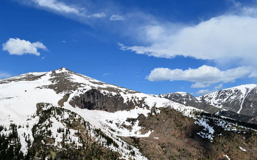 Snowy-Mountains-Bird-Flying.jpg