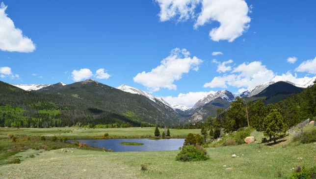water-grass-mountains-feature.jpg