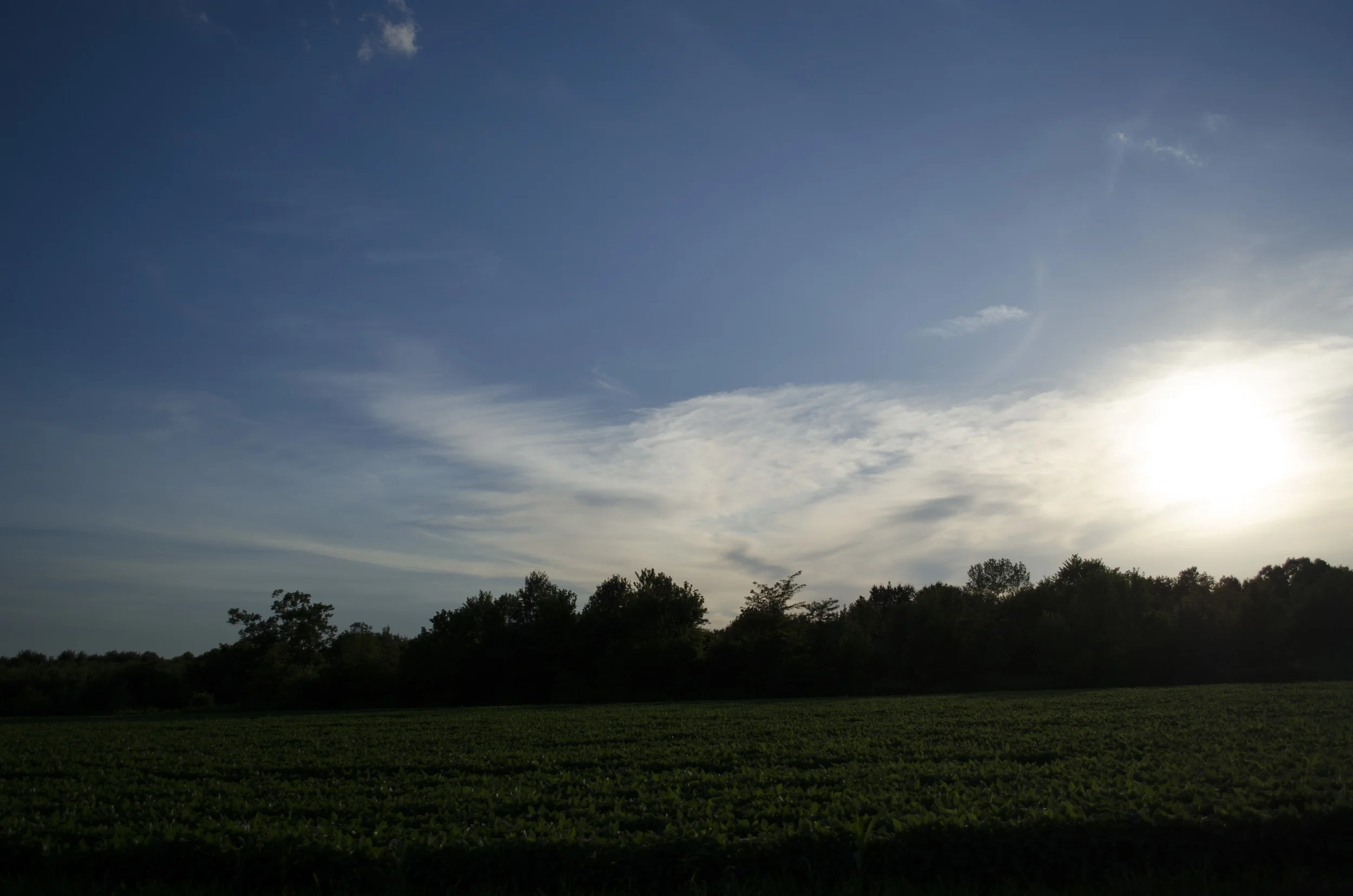 DSC_0051.JPG