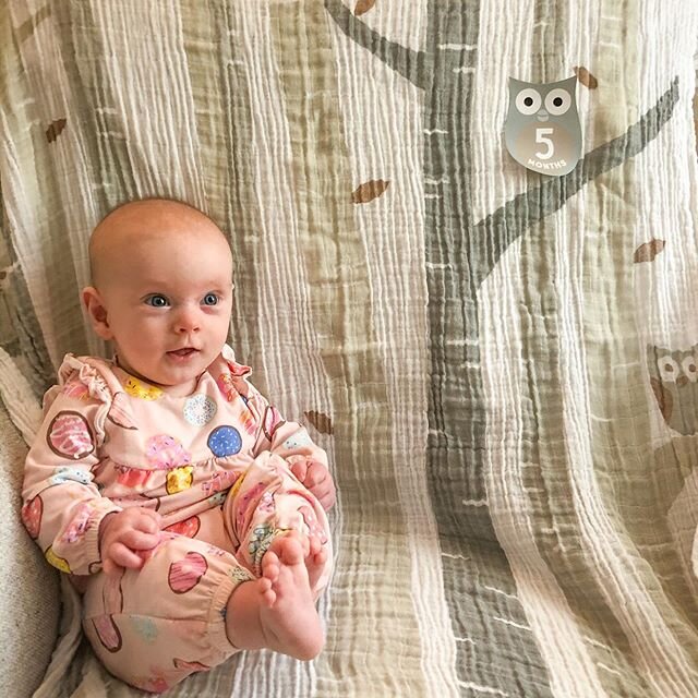 Millie J. is 5 months old today! These days she has a LOT to say, by way of silly squeaks and loud squeals. 😜 This little girl is on the move, practicing sitting up, always trying to booty scooch around (especially on the changing table 😅), and get
