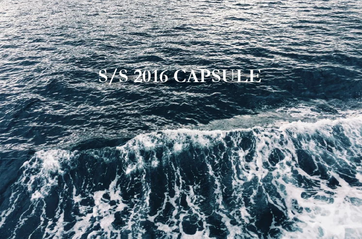 ss16_capsule_blogheader.jpg
