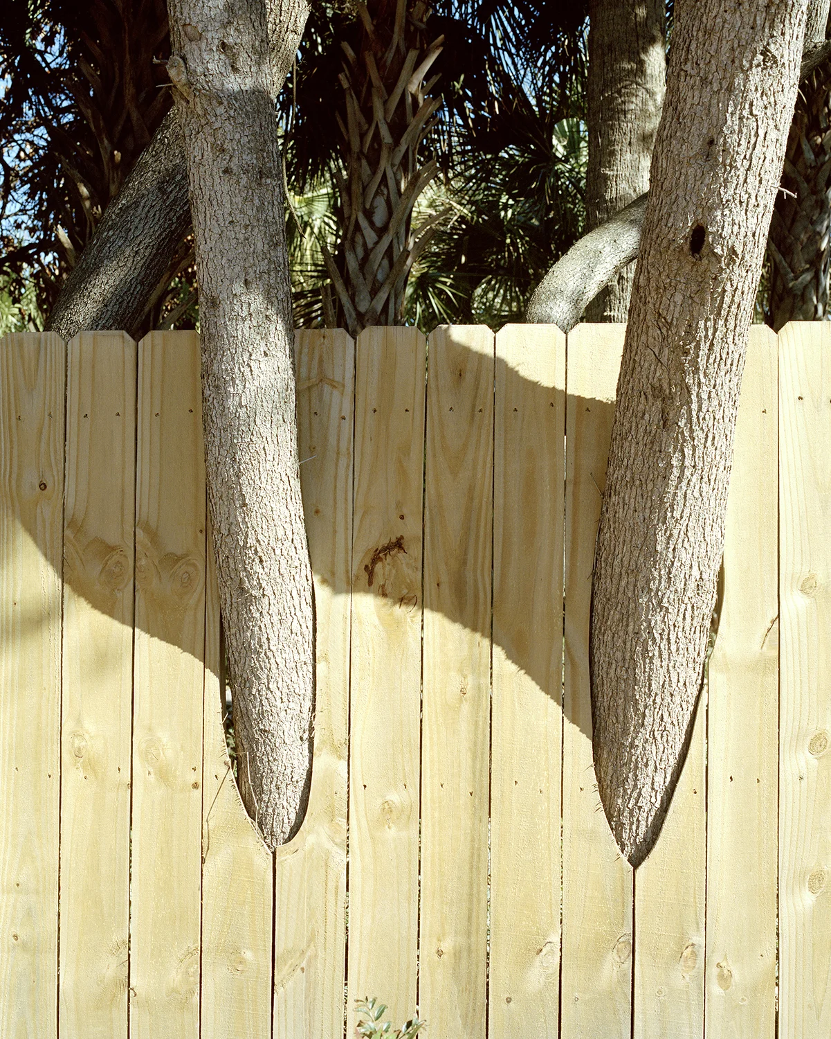 TaxidermedNature Website.jpg