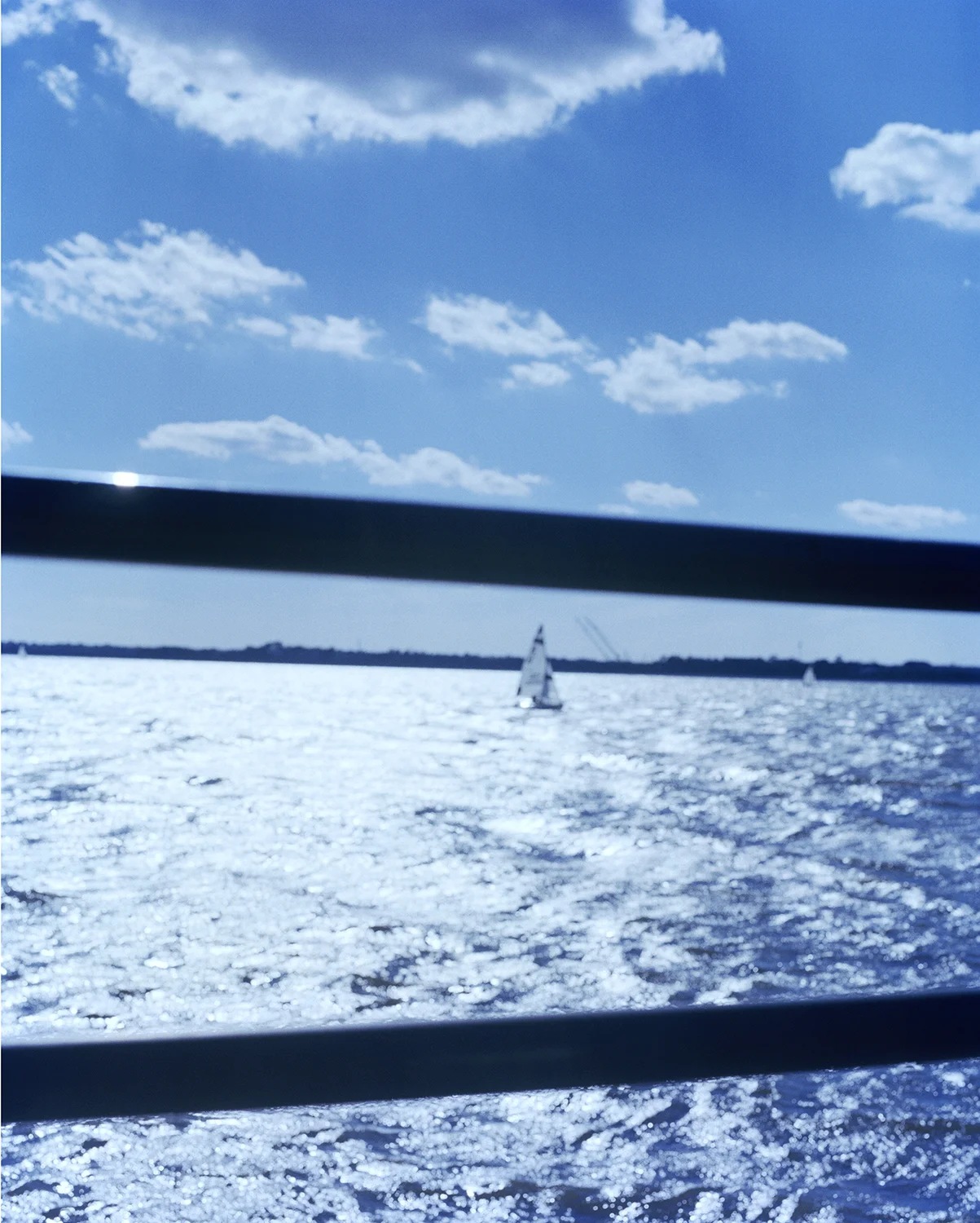 Sailing Scene Charleston(Website).jpg