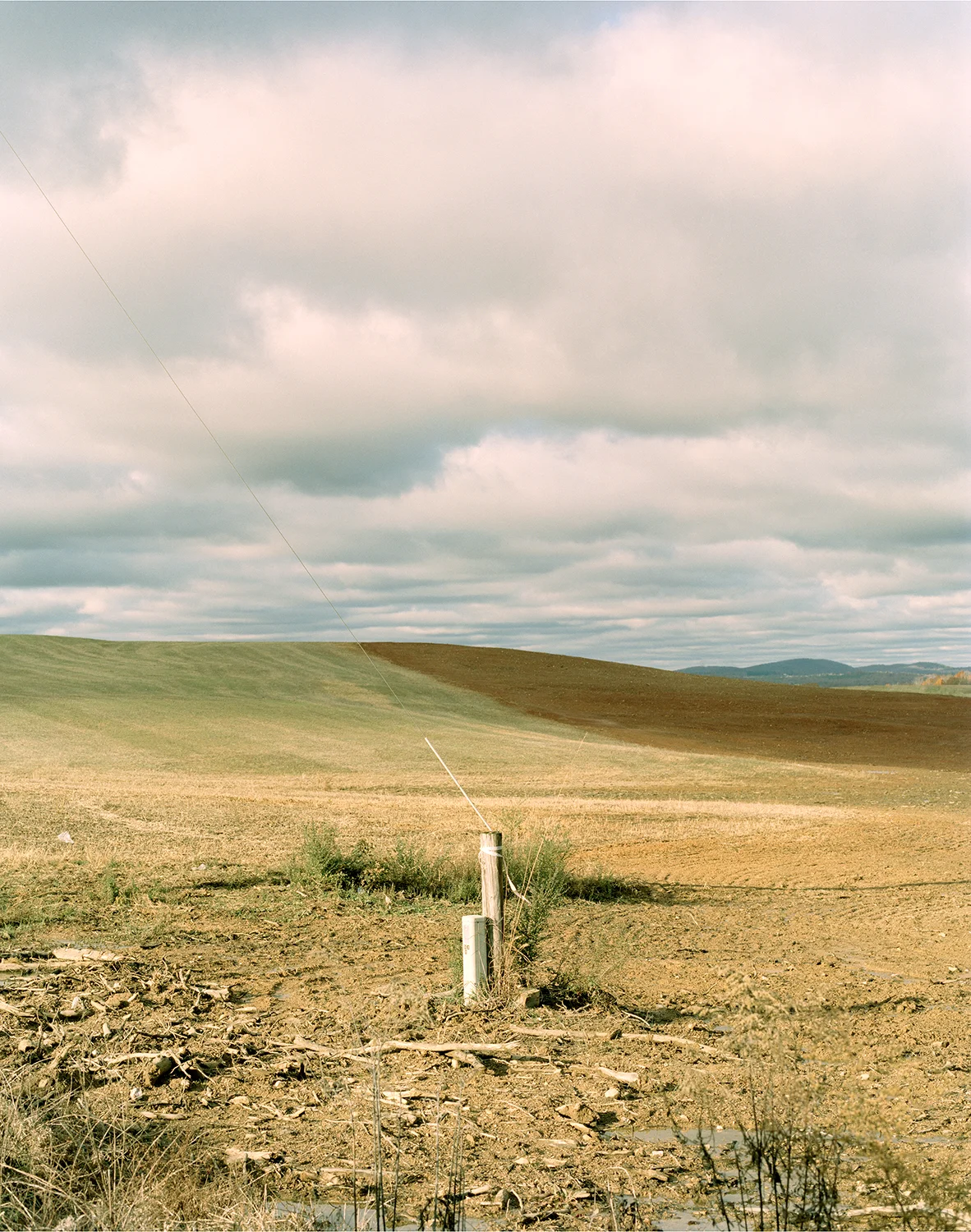 Landscape NC Website.jpg