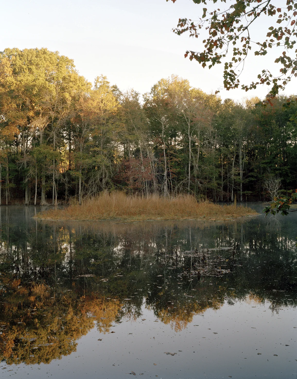 Landscape in Twin City Website.jpg