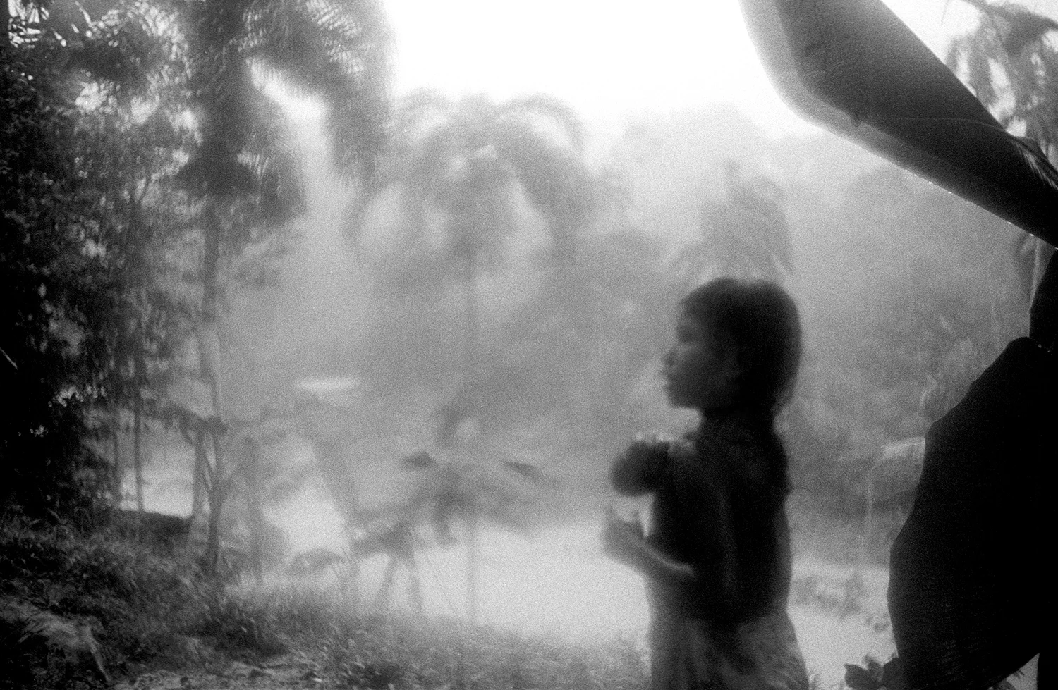 Mate in rain.jpg