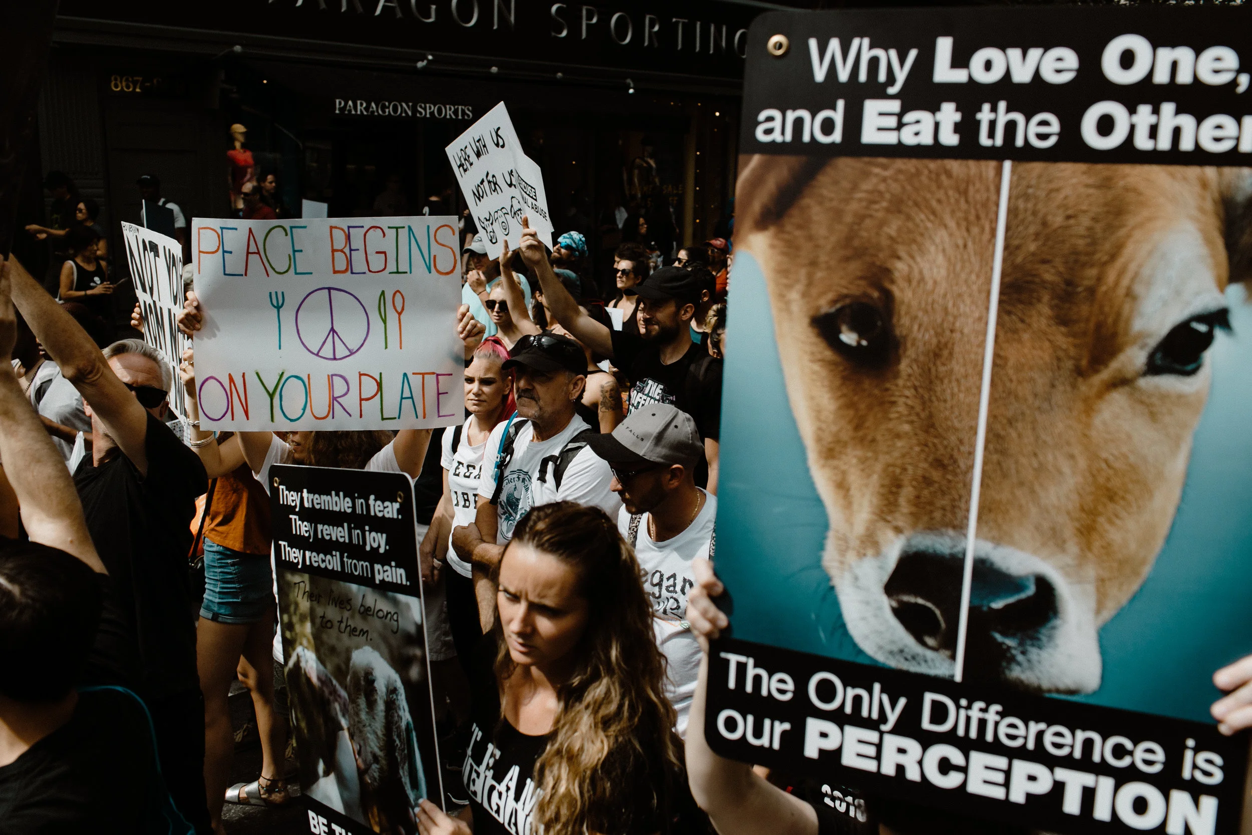 Animal-Rights-March-NYC-Shauna-Hundeby-101-9920.jpg