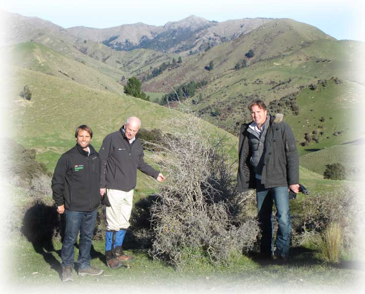 Dow Agro Sciences visit to look at herbicide trial on barberry in Marlborough