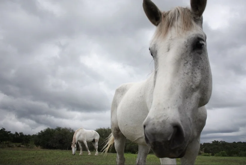 Screen Shot 2015-06-09 at 11.55.42 AM_1024.jpg