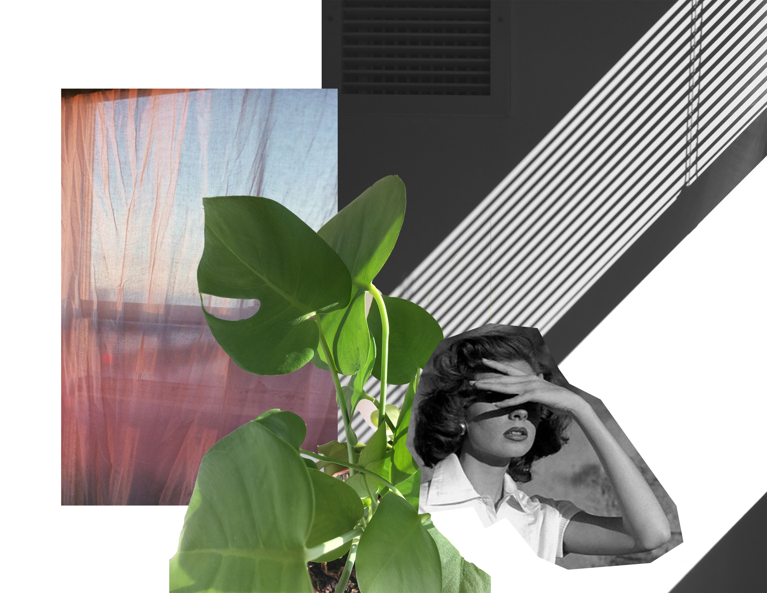 morning'.png