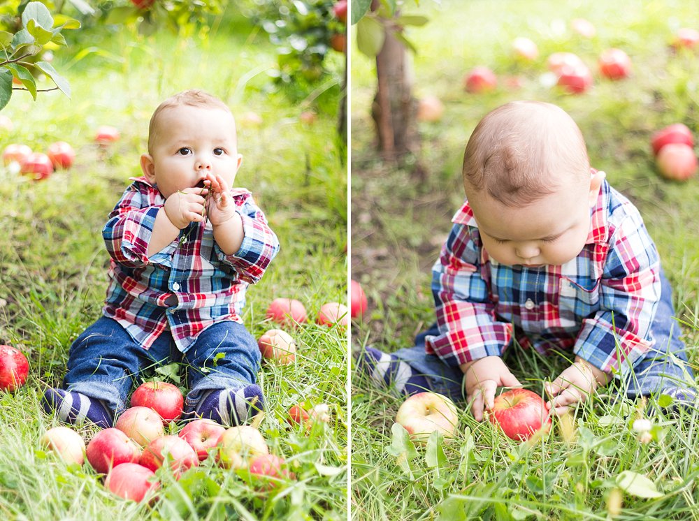 Apple Orchard_6.jpg