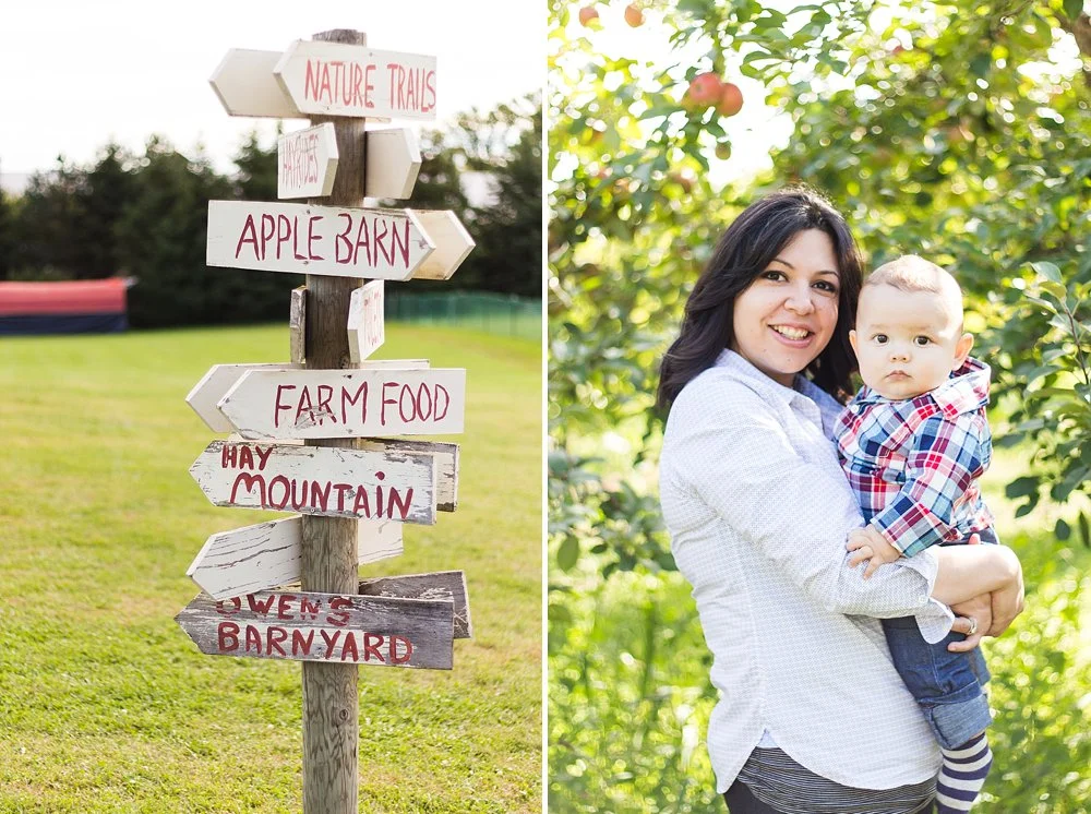 Apple Orchard_7.jpg