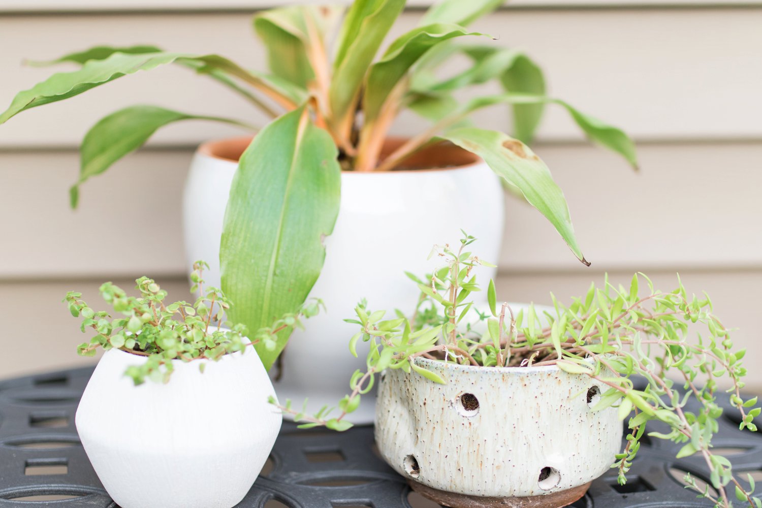 Sabrina Reis Photography | Minneapolis Photography | Patio Update_0043.jpg